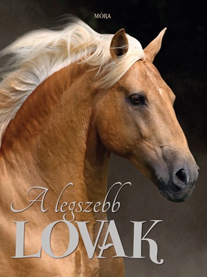 A legszebb lovak A legszebb lovak