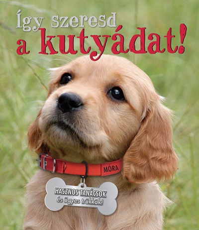 Így szeresd a kutyádat! Így szeresd a kutyádat!