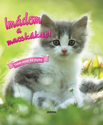Imádom a macskákat! Imádom a macskákat!
