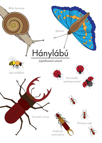 Hánylábú Hánylábú