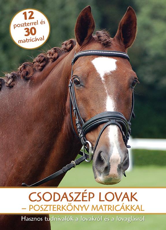 Csodaszép lovak - Poszterkönyv matricákkal Csodaszép lovak - Poszterkönyv matricákkal